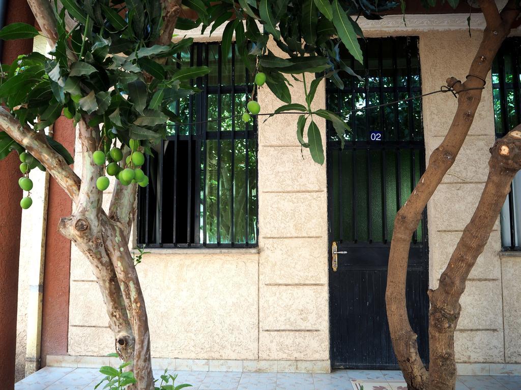 Manuhie Backpackers Lodge Bahir Dar Oda fotoğraf