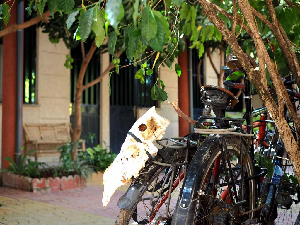Manuhie Backpackers Lodge Bahir Dar Oda fotoğraf