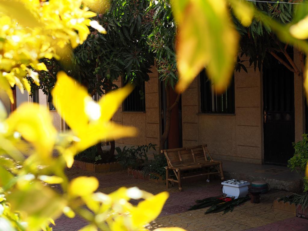 Manuhie Backpackers Lodge Bahir Dar Oda fotoğraf