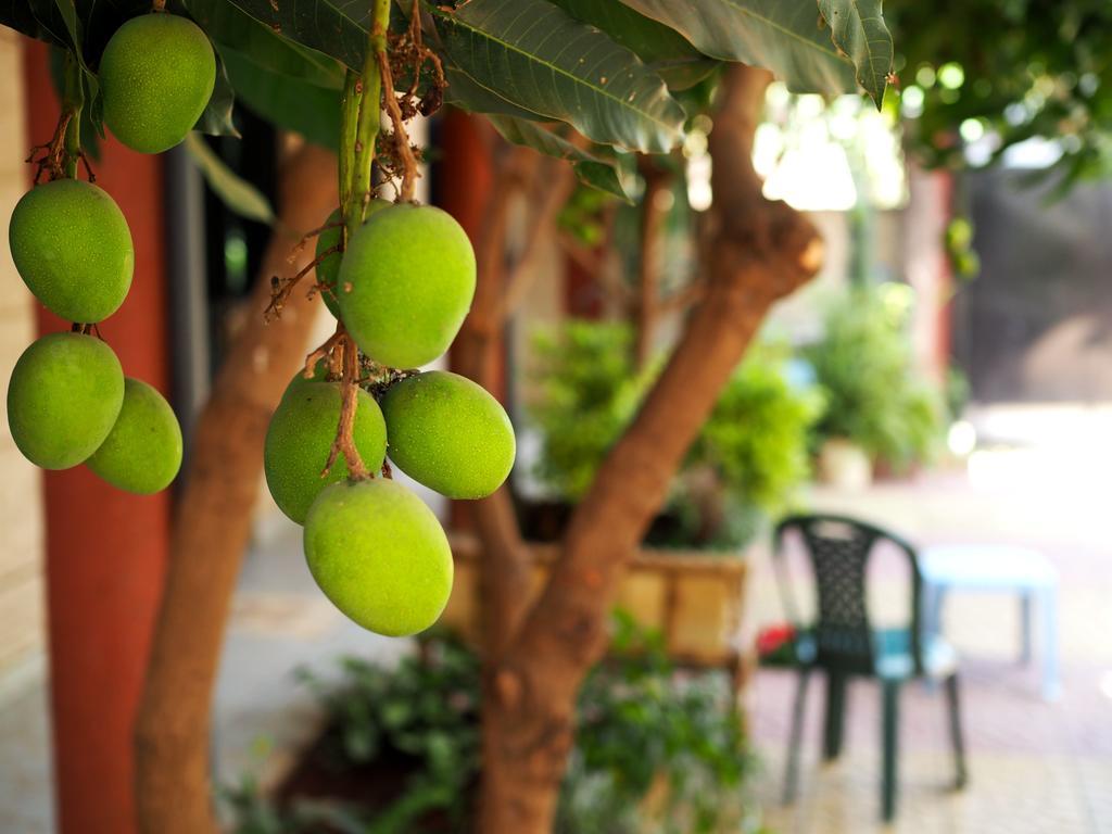 Manuhie Backpackers Lodge Bahir Dar Oda fotoğraf
