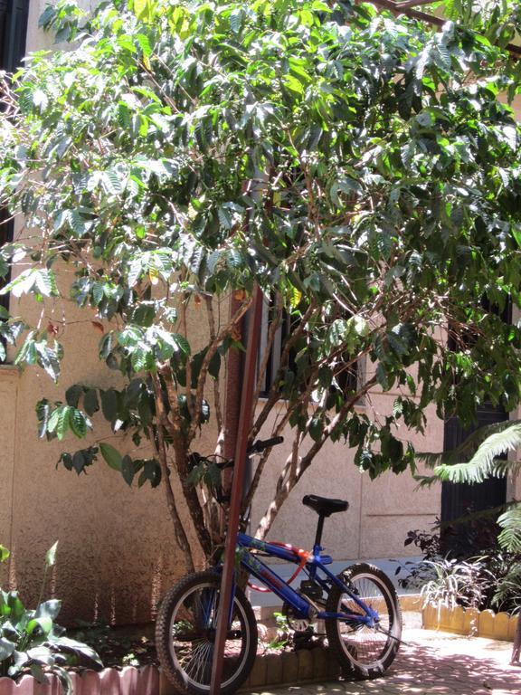 Manuhie Backpackers Lodge Bahir Dar Dış mekan fotoğraf